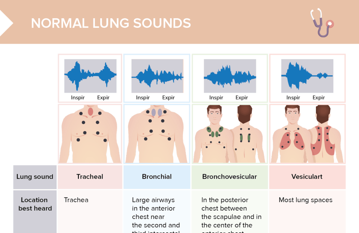 circles sounds on the lungs