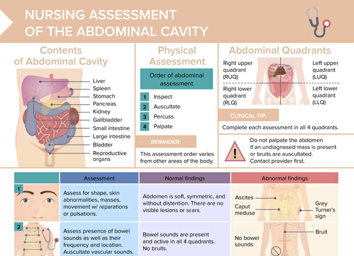 Overview of abdominal physical assessment, including normal and abnormal findings