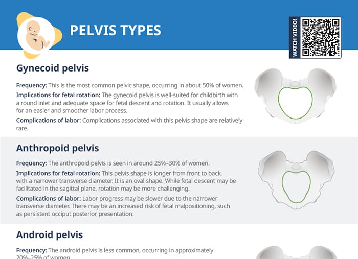 Nursing cs pelvis types