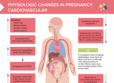 Physiologic changes in pregnancy: cardiovascular