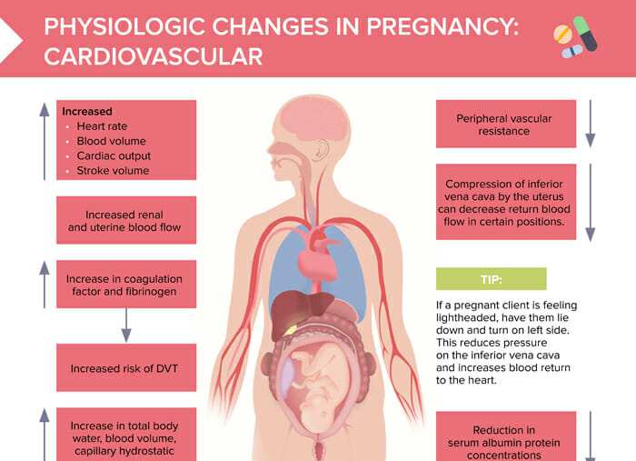 Physiologic Changes in Pregnancy: Cardiovascular