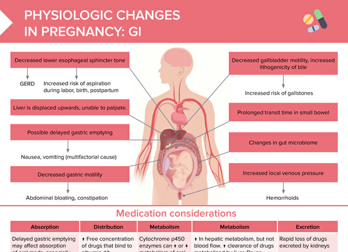 Physiologic changes in pregnancy: gi