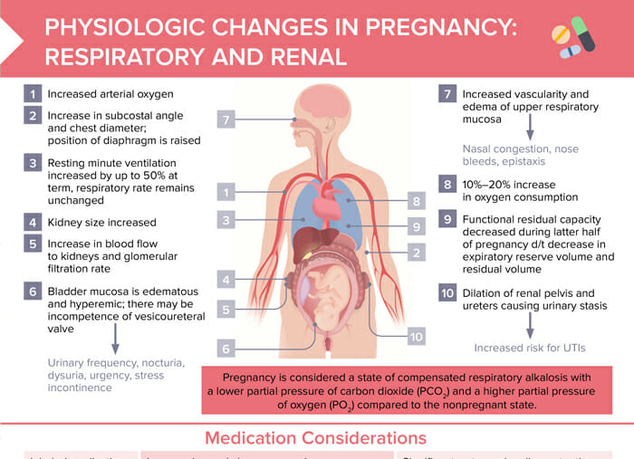 Renal and respiratory pregnancy changes
