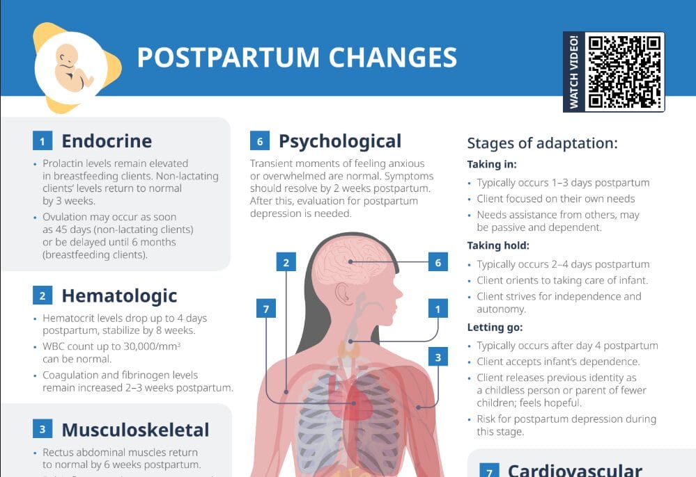 Thumbnail for Lecturio's Postpartum Changes Cheat Sheet