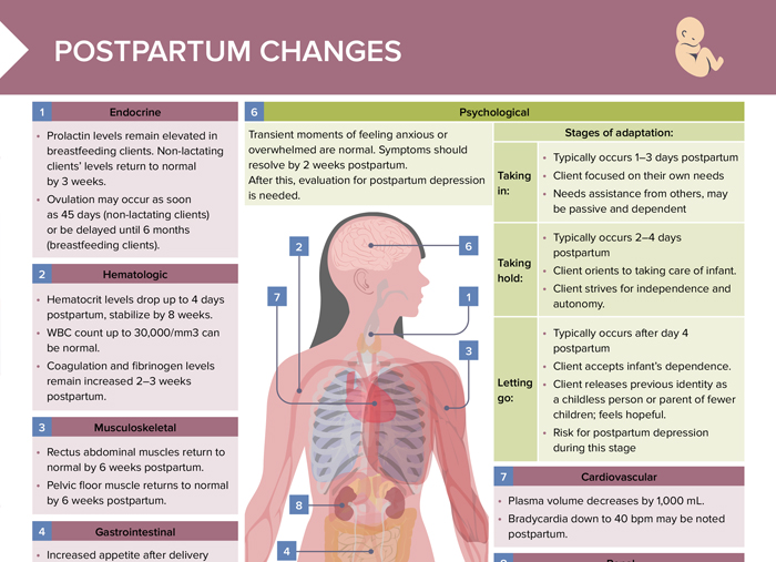 Reviews physical and psychological postpartum changes