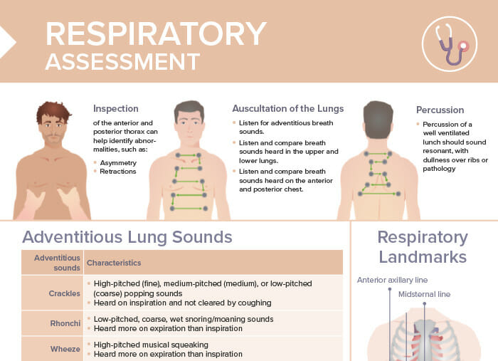 Nursing cs respiratory assessment 2