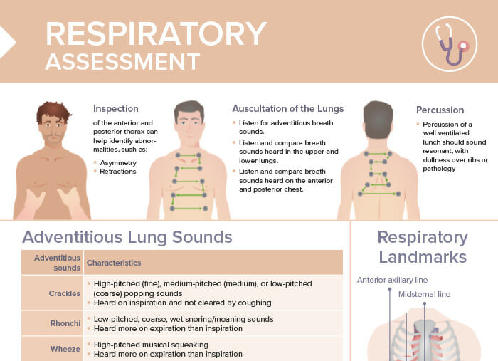 listen to lung sounds