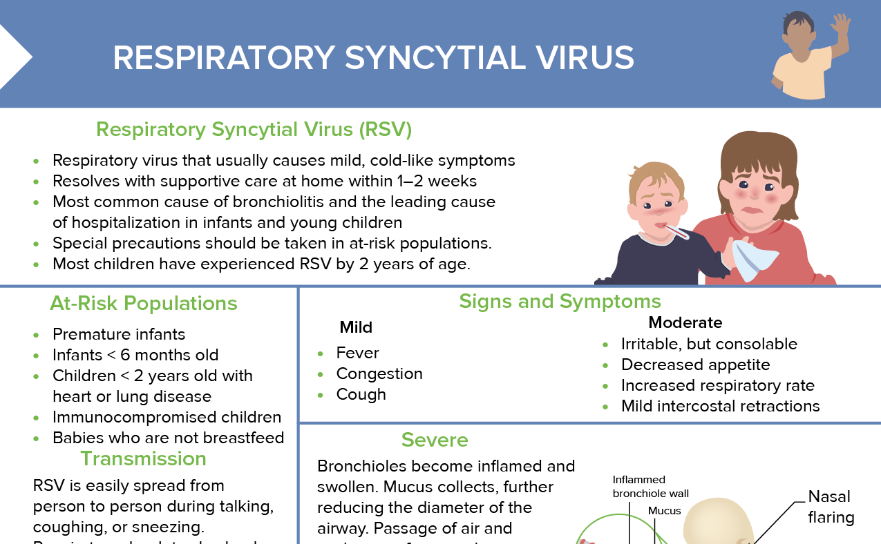 Respiratory Syncytial Virus Rsv Lecturio