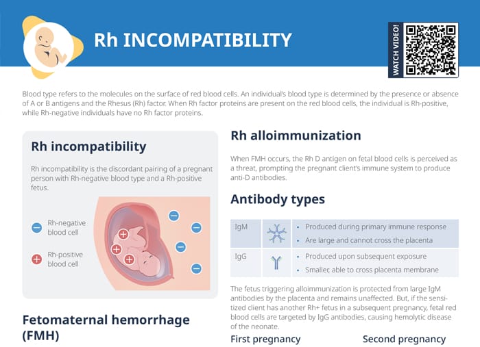 Rh incompatibility in pregnancy