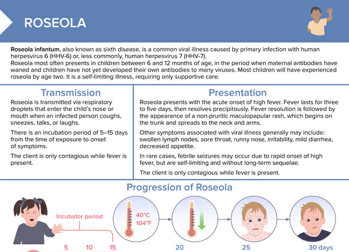 Roseola, primarily caused by human herpesvirus 6 (hhv-6), predominantly affects infants and young children, presenting as a sudden, high fever followed by a characteristic pinkish-red rash. While many adults have immunity from prior exposure, those without can contract the virus, although with milder symptoms. In clinical practice, nurses should be especially aware of its contagious nature and take care to differentiate roseola from other rash-causing illnesses, such as measles or rubella.