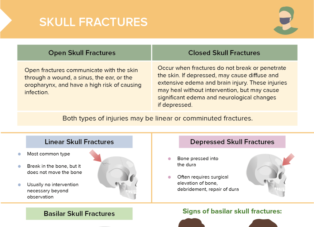 Skull Fracture [+ Free Cheat Sheet] | Lecturio Nursing