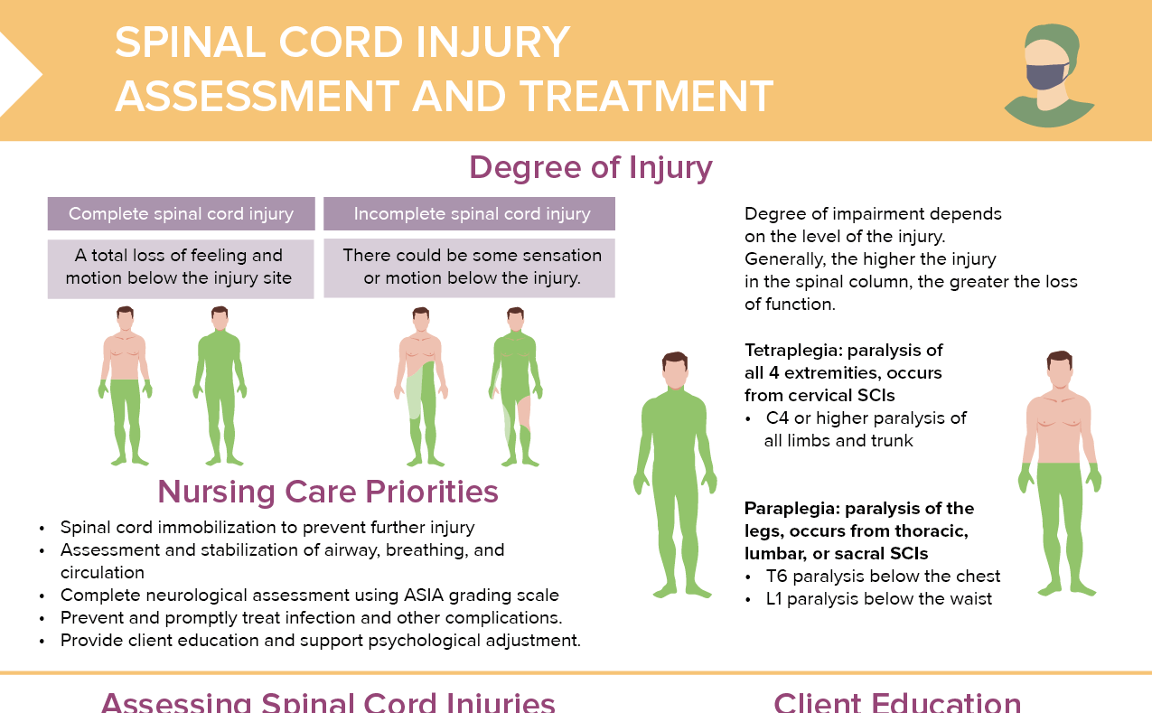 Spinal cord injury assessment