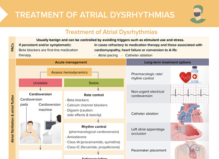 Overview of acute and long term treatment options for atrial dysrhythmias