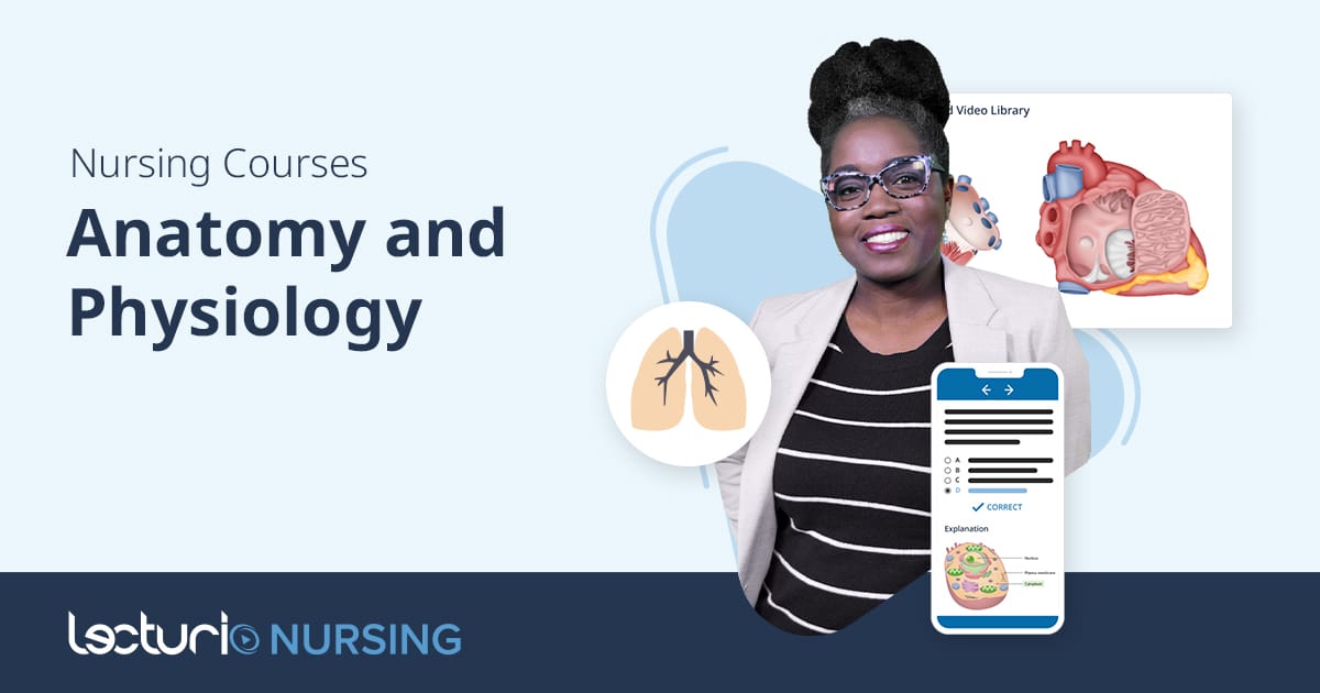 Importance of Anatomy and Physiology in Nursing