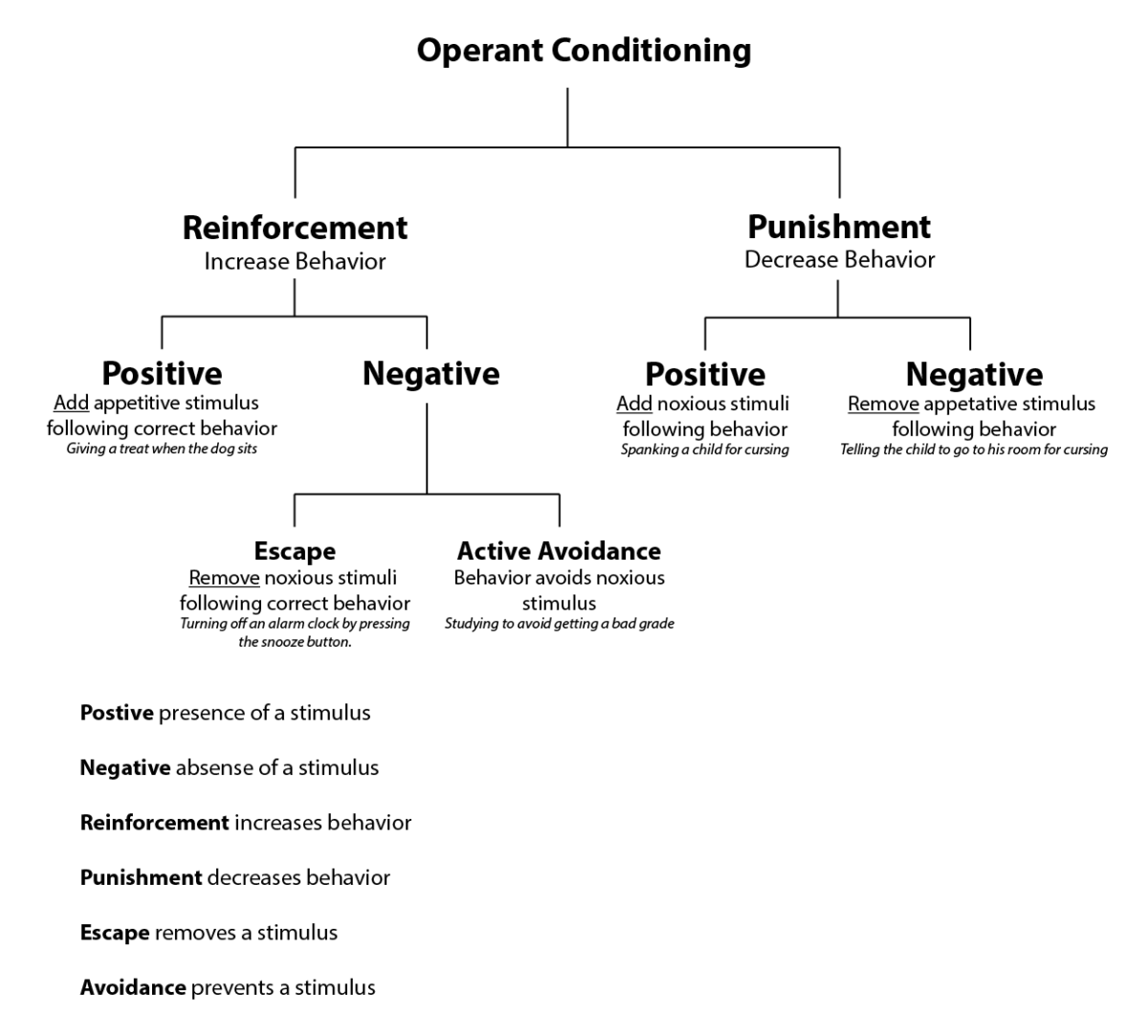 Operant conditioning diagram
