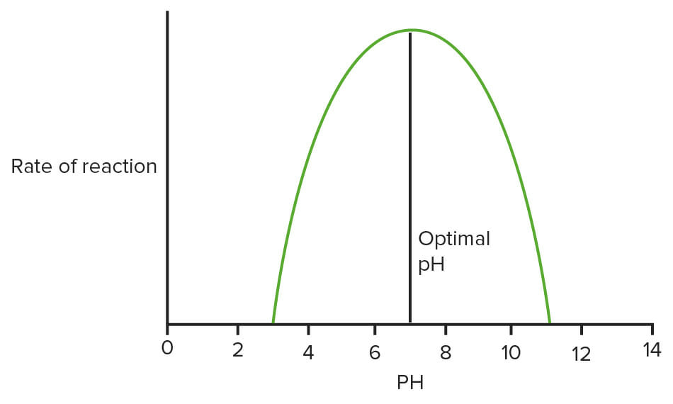 Optimum ph and temperature at which enzymes function