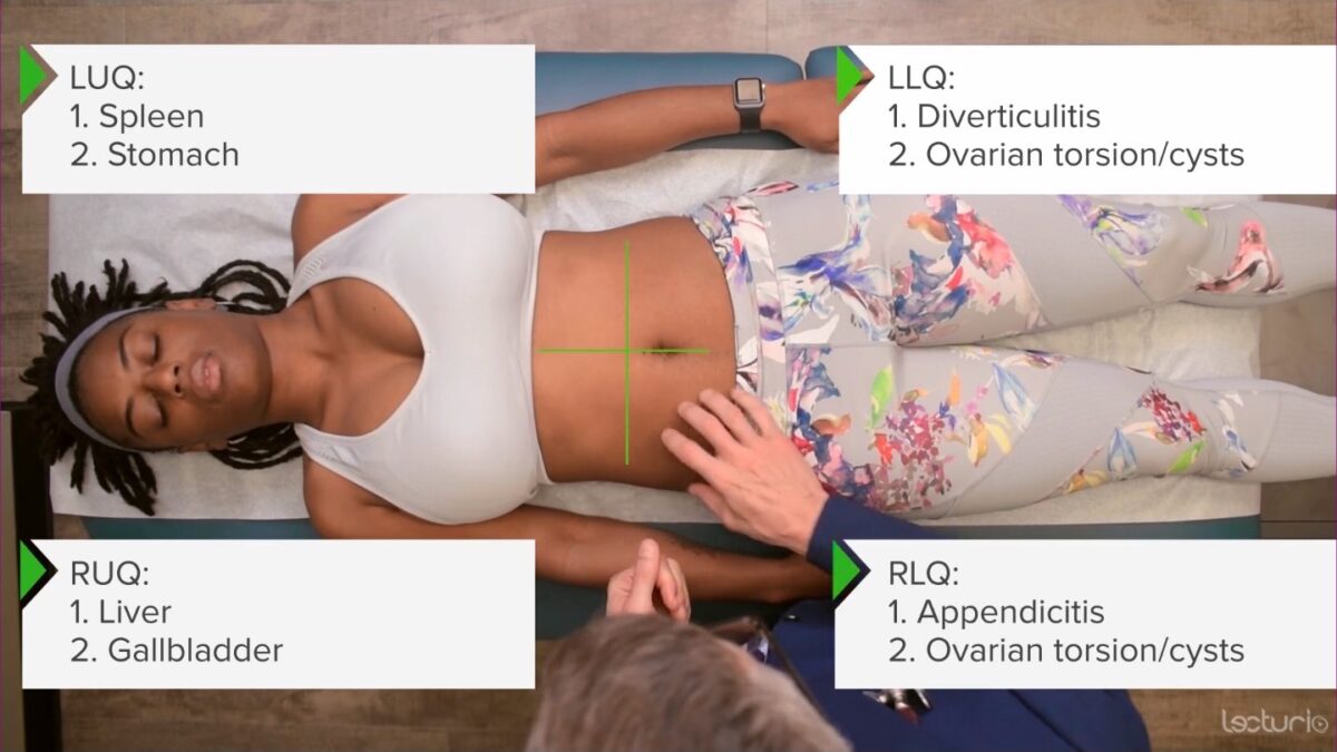 Palpation for abdominal tenderness in 4 quadrants