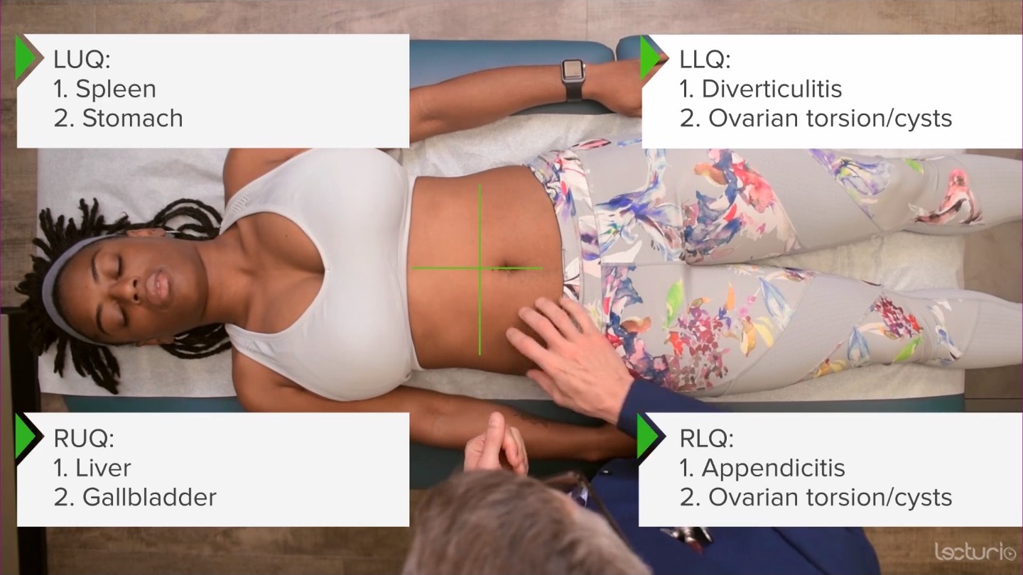 Abdominal Exam I: Anatomy, Topography and Auscultation