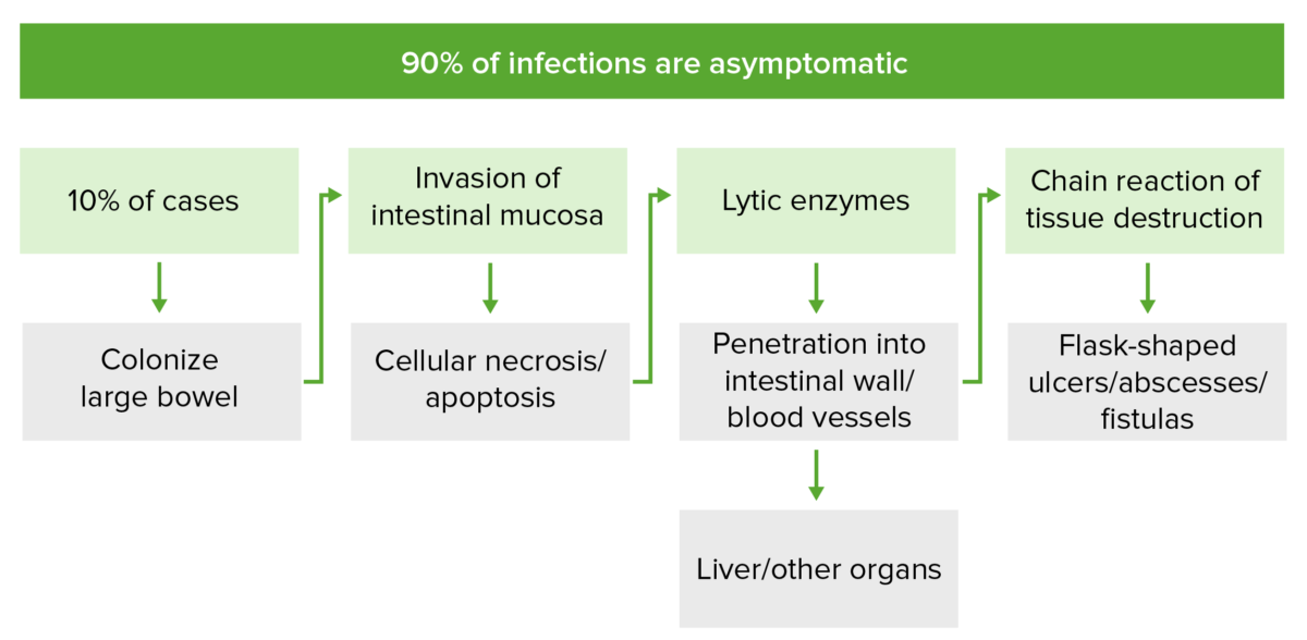 Patogenia de la entamoeba histolytica