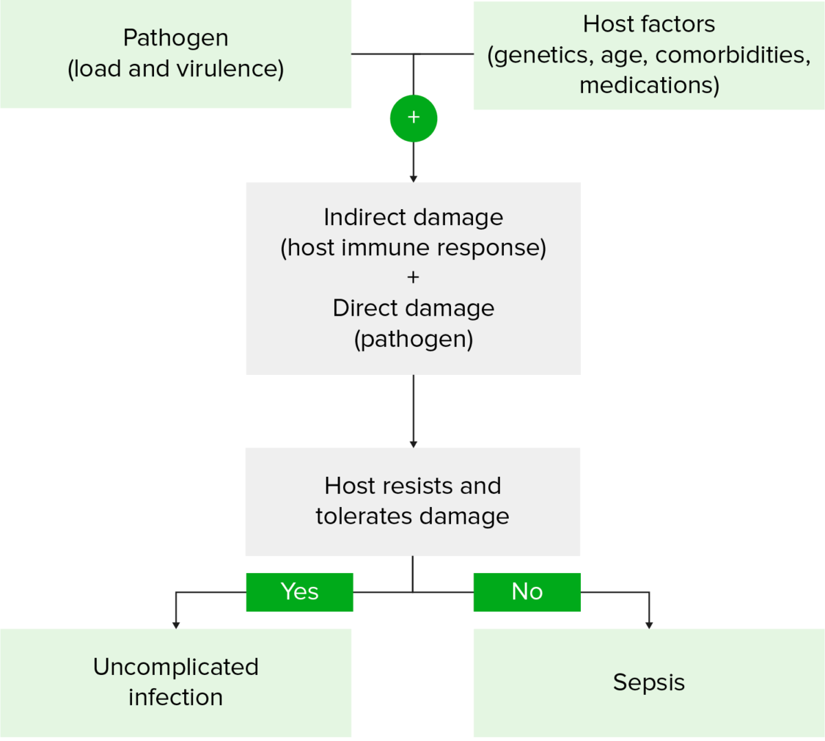 Pathogenesis of sepsis