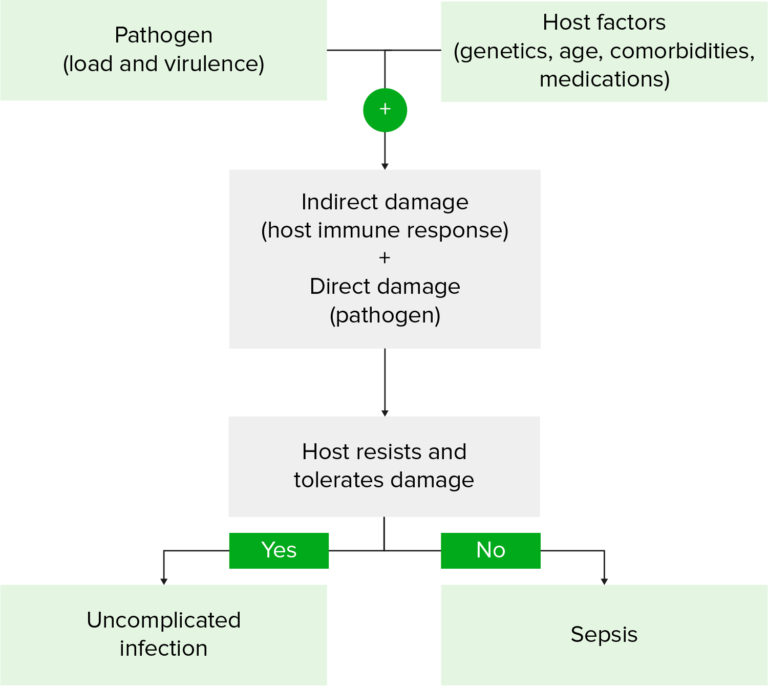 Sepsis And Septic Shock | Concise Medical Knowledge