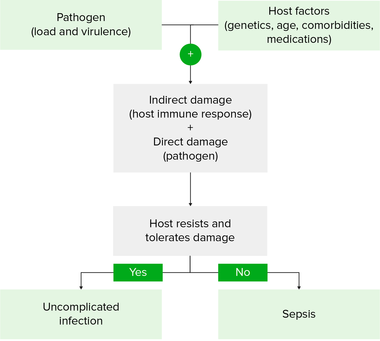 septic shock pathophysiology flowchart