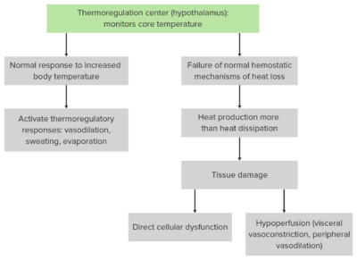 Pathophysiology chart of heatstroke
