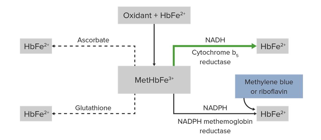 methemoglobinemia chromosome