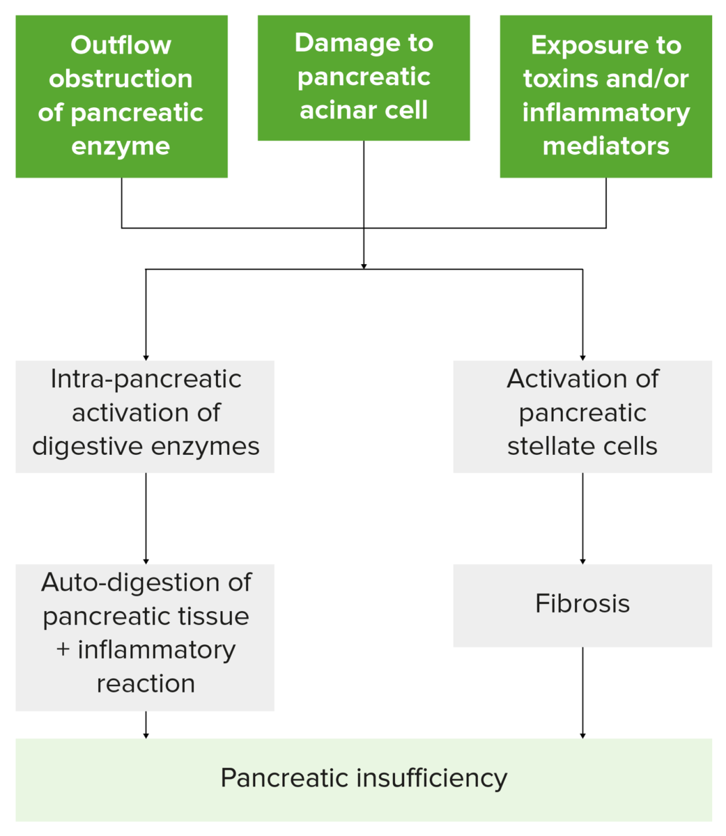 Pathophysiology of pancreatic insufficiency