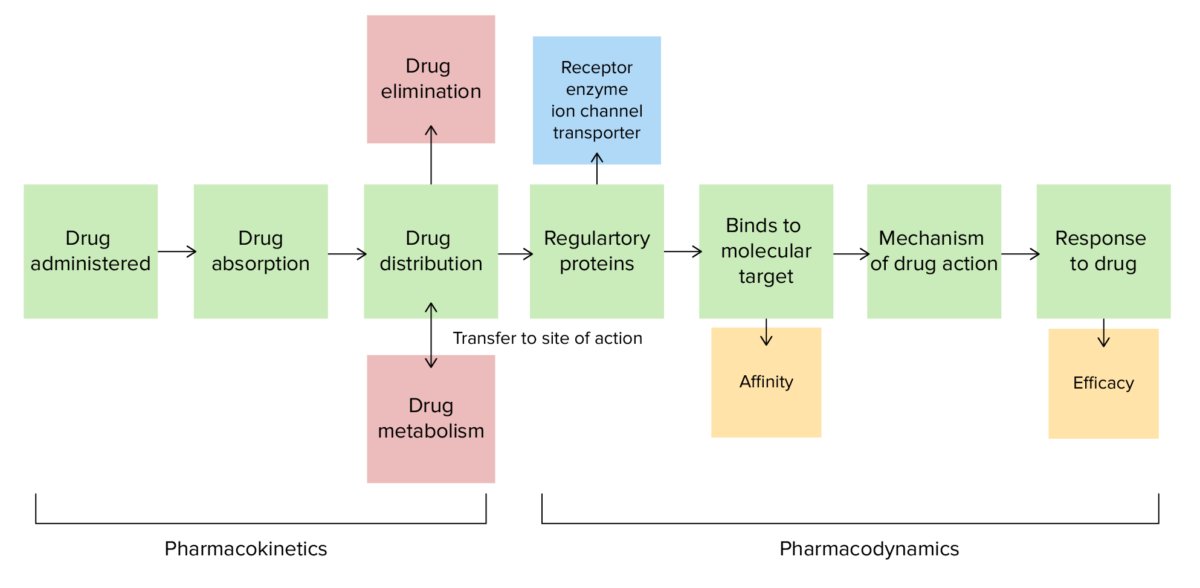 Farmacocinética e farmacodinâmica