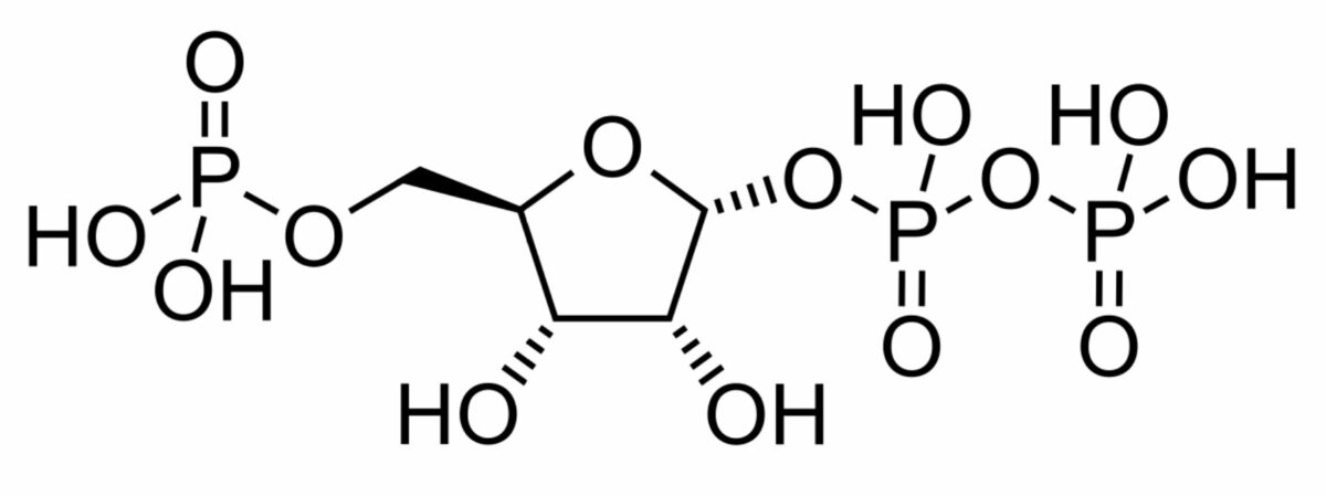 Estrutura química do fosforibosil pirofosfato