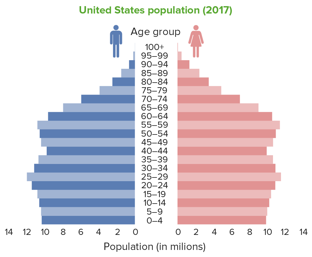 Population pyramid usa