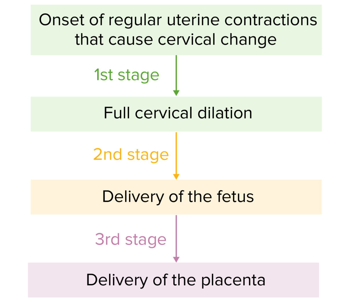 Progressão através dos 3 estadios do trabalho de parto