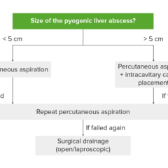 Pyogenic liver abscess management