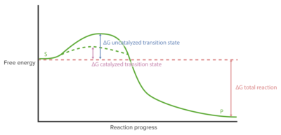 Reaction progress curve