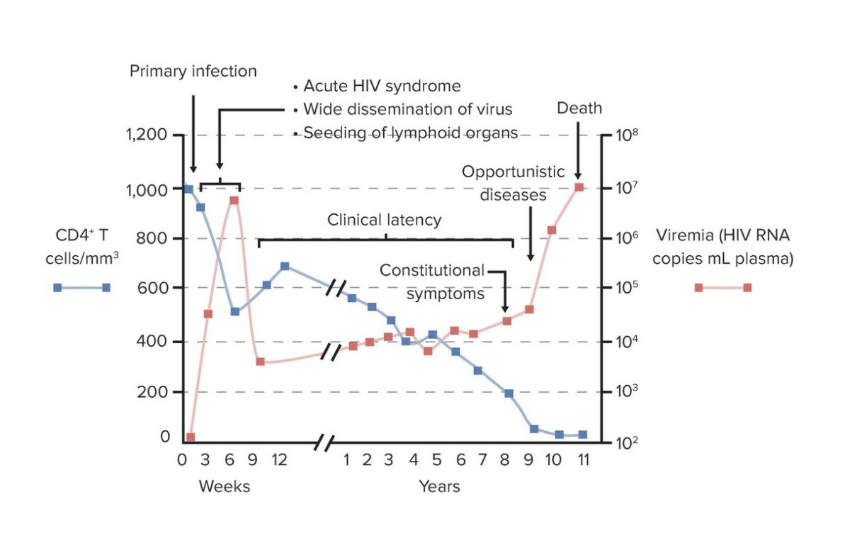 Relationship between cd4+ t cell count and viral load