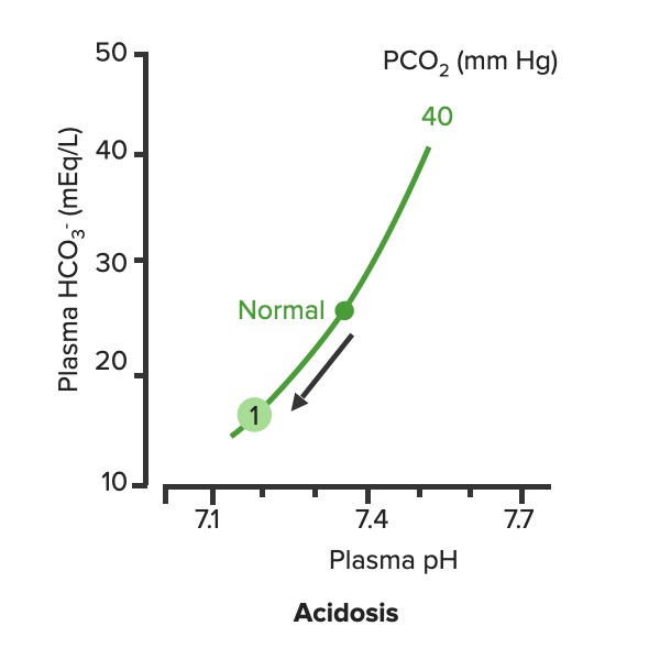 Relação entre ph plasmático e hco3- plasmático na acidose metabólica não compensada