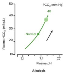 Relationship between plasma pH and plasma HCO3- in uncompensated metabolic alkalosis