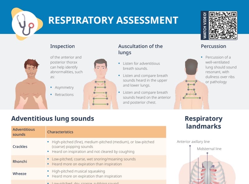 Respiratory Assessment [+ Free Cheat Sheet]