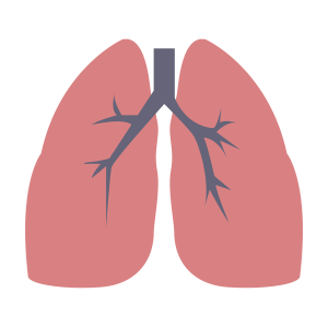 Respiratory system comat