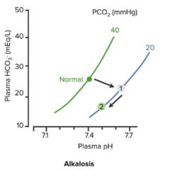 Respiratory alkalosis renal compensation