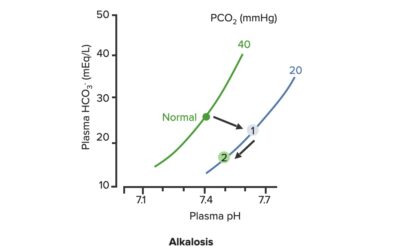 Respiratory alkalosis renal compensation
