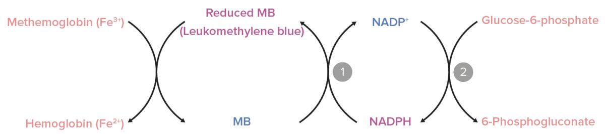 Role of nicotinamide adenine dinucleotide phosphate methemoglobinemia