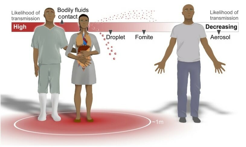 Routes of ebola virus transmission