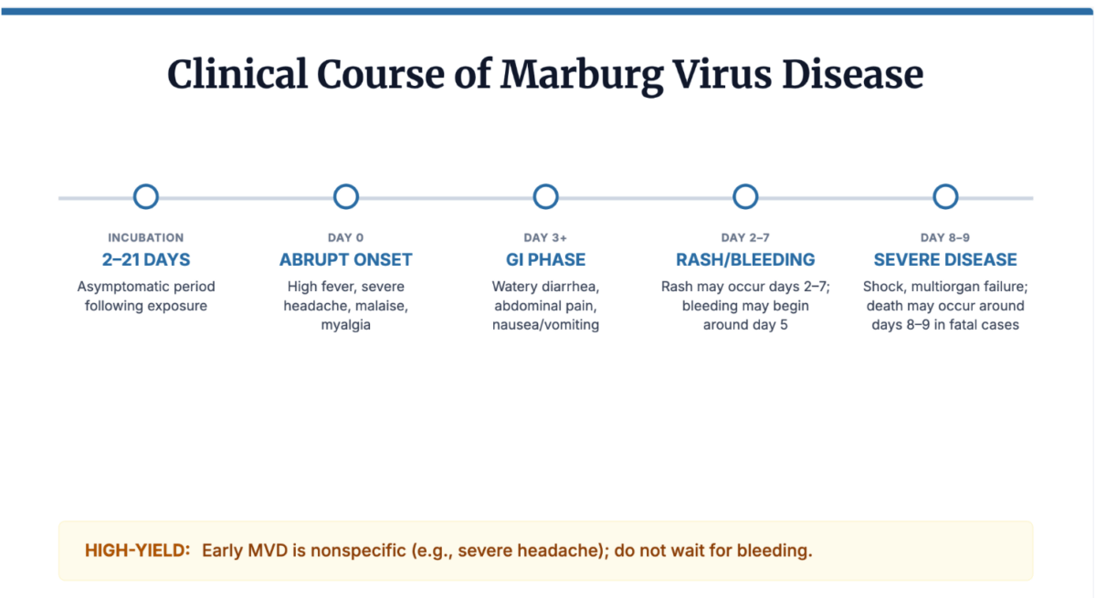 Clinial Course of Margurg Virus Disease