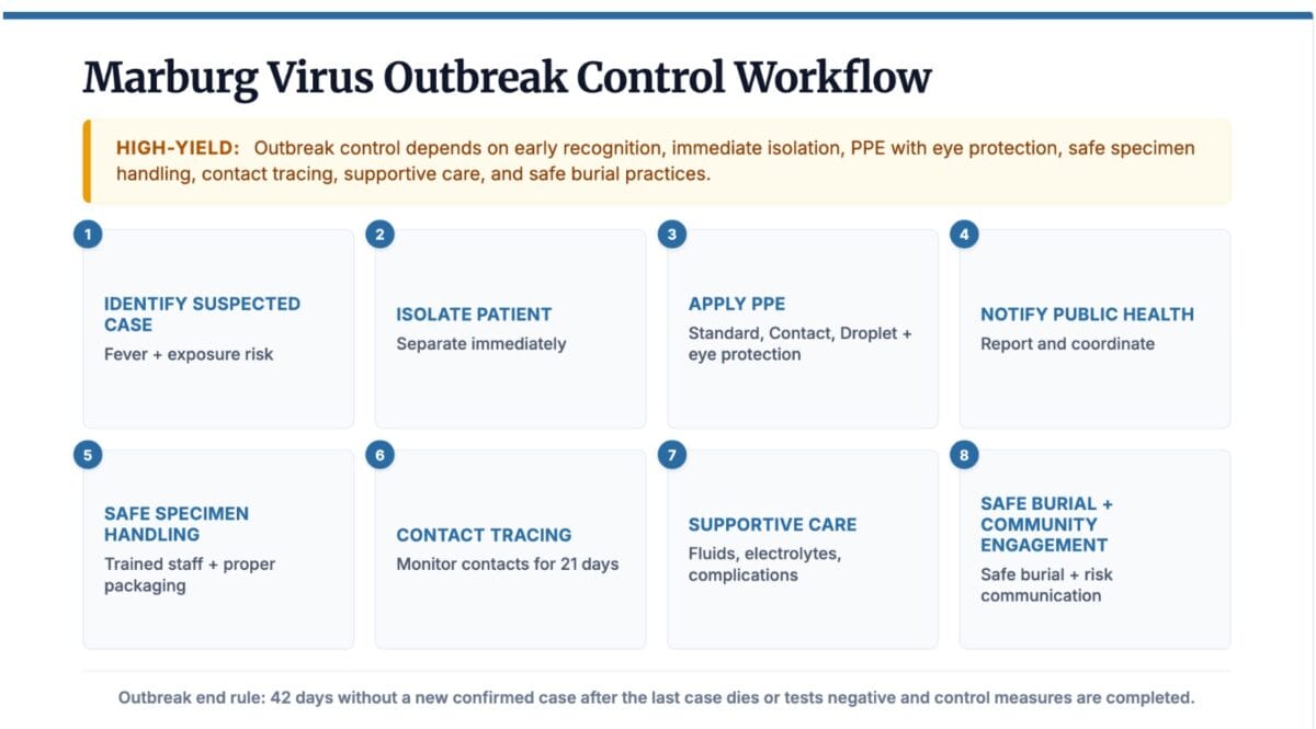Marburg Virus Outbreak Control Workflow