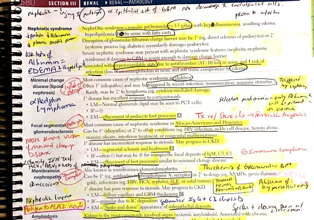 Best Way to Annotate USMLE Step 1 First Aid for Studying – Lily In Medicine