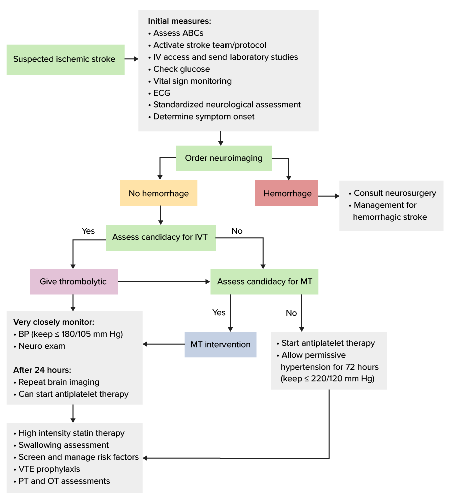 Simplified assessment and management algorithm for ischemic stroke