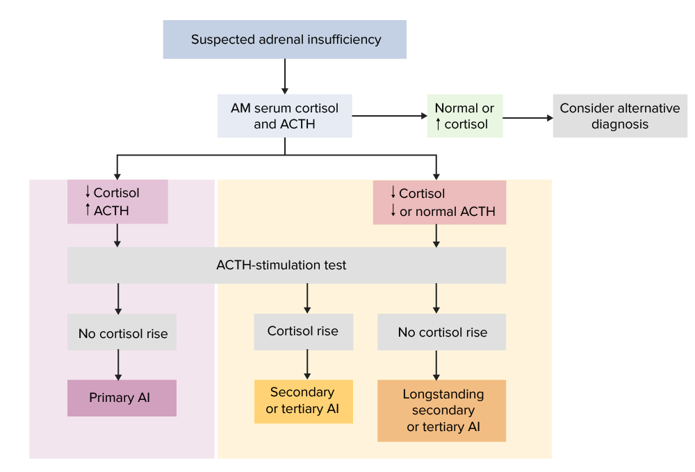 Simplified diagnostic algorithm for adrenal insufficiency (ai)