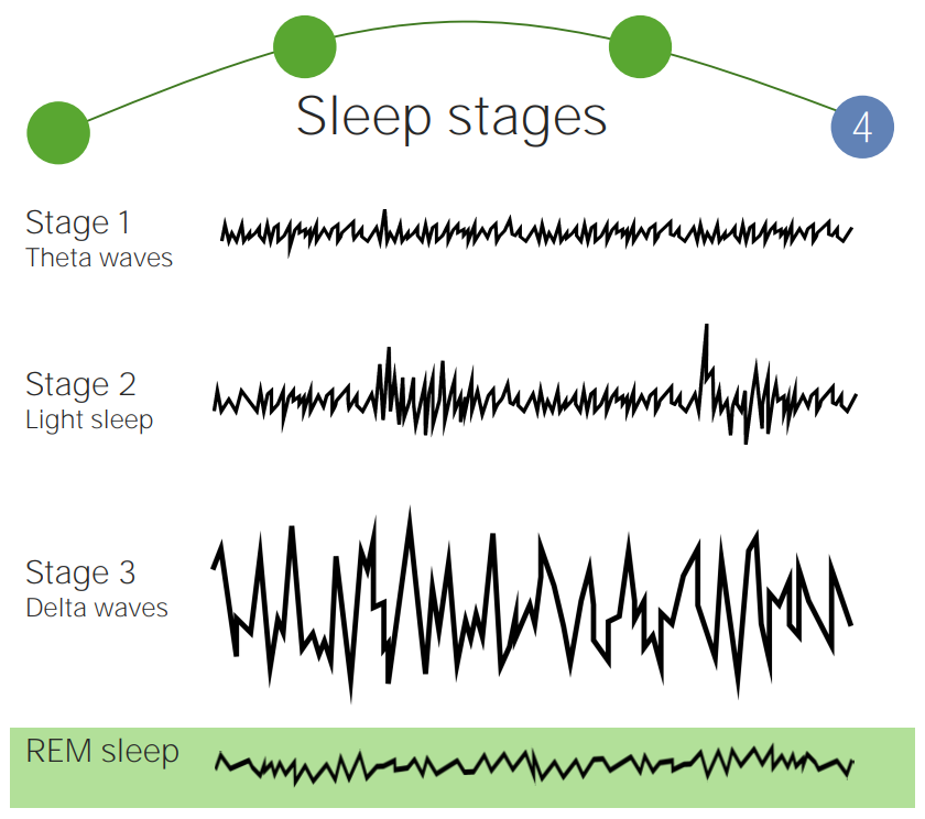 no deep sleep stage